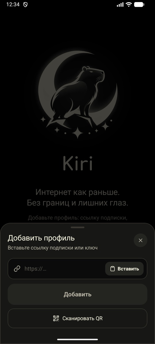 Окно «Добавить профиль»: поле для ссылки, кнопки «Вставить», «Добавить» и «Сканировать QR»